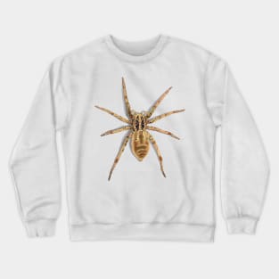 Sri Lankan tarantula Crewneck Sweatshirt